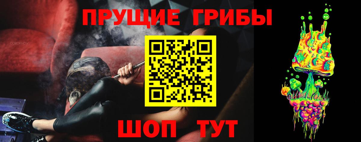 Кимовск  Псилоцибиновые грибы Psilocybe  Псилоцибиновые грибы GOLDEN TEACHER  Вход с VPN 
